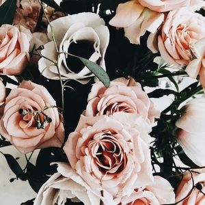 Meet your Posher, Tatum